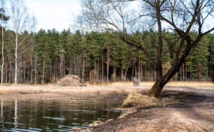 Izglītojošs un izpratni veicinošs pārgājiens dabā “Kas notiek Ruģeļu mitrājā?”