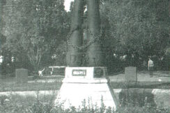 Commandant’s Garden in Daugavpils Fortress