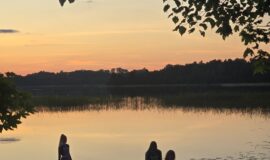 Saulgriežu maģija Medumu parkā