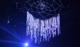 Saulgriežu maģija Medumu parkā