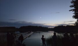 Saulgriežu maģija Medumu parkā