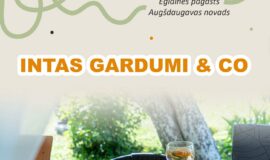 Septembrī durvis vērs Mājas kafejnīcas Sēlijā