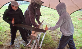 Juzefovas parka festivālā varēja iepazīt koka dažādās pasaules