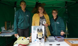 Juzefovas parka festivālā varēja iepazīt koka dažādās pasaules