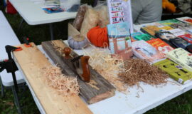 Juzefovas parka festivāls – vieta, kur koki vieno