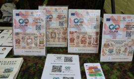 Juzefovas parka festivāls – vieta, kur koki vieno