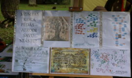 Juzefovas parka festivāls – vieta, kur koki vieno