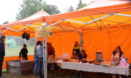 Juzefovas parka festivāls – vieta, kur koki vieno
