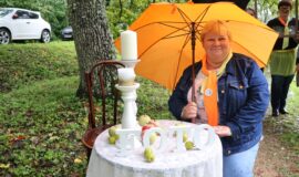 Juzefovas parka festivāls – vieta, kur koki vieno