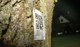 Daugavpils uzņem Latvijas Orientēšanās nakti